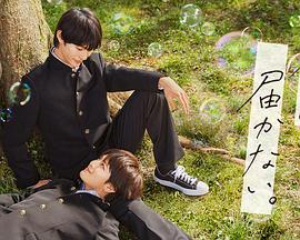 黄金比筋肉海报剧照