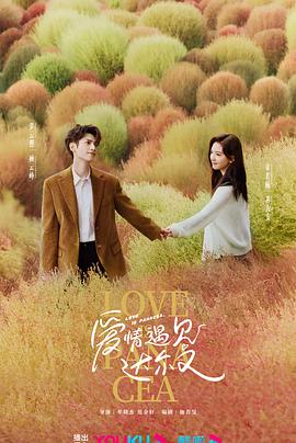 偷窥合集海报剧照