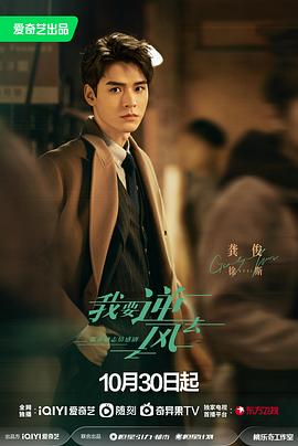 侠骨仁心海报剧照